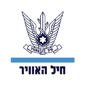 חיל האוויר לוגו